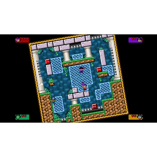 Shantae Advance: Risky Revolution (Limited Run #588) [PLAY STATION 4]