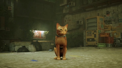 Stray[Б.У ИГРЫ PLAYSTATION 4]